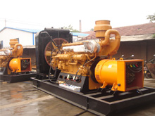 滨海发电机组的频率规格是如何确定的？